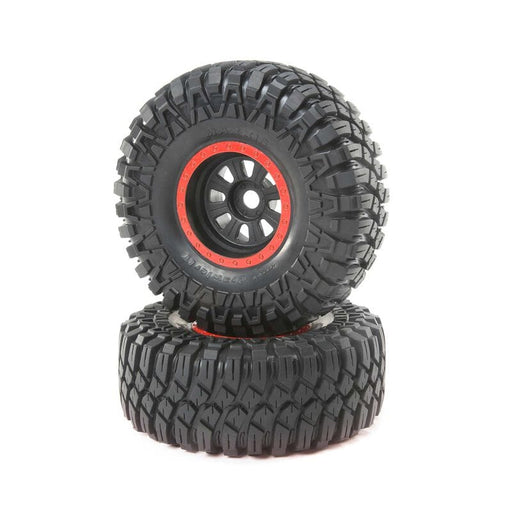 LOS45031 Maxxis CreepyCrawler LT Black Mounted( 2): SuperRockRey